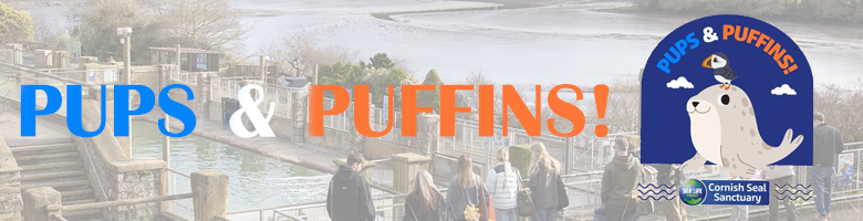 PUPS AND PUFFINS - FEBRUARY HALF TERM - 15TH TO 23RD FEBRUARY 2025