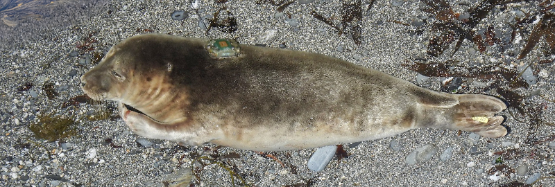 Photo Credit - Sue Sayer MBE - SRT - 22nd May 2025