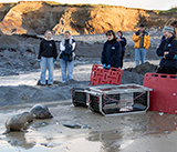 Seal Release - 2nd January 2026