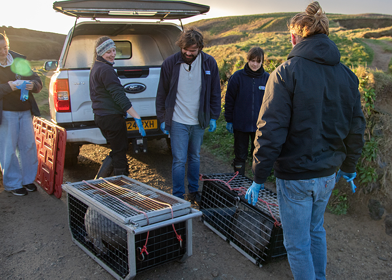 Seal Release - 2nd January 2026