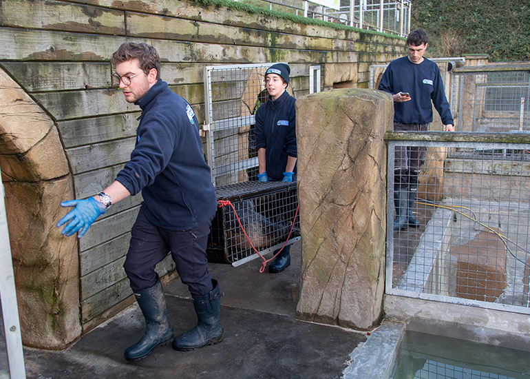 Seal Release - 3rd December 2024