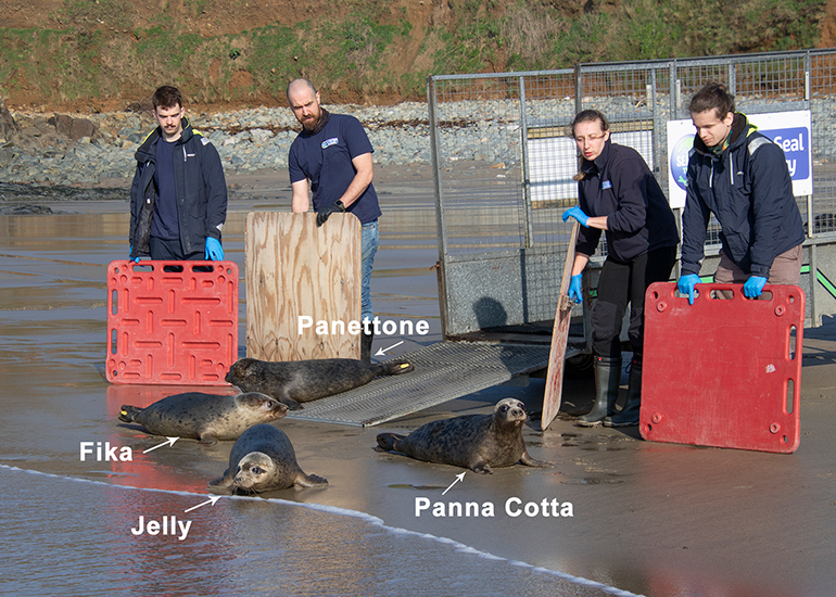 Seal Release - 4th March 2026
