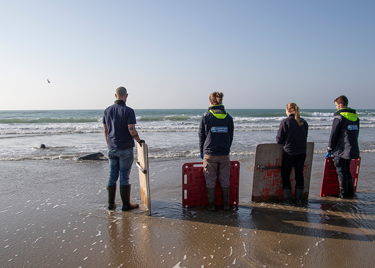 Seal Release - 4th March 2026