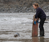 Seal Release - 5th  March 2026