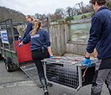 Seal Release - 5th  March 2026