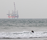 Seal Release - 5th  March 2026