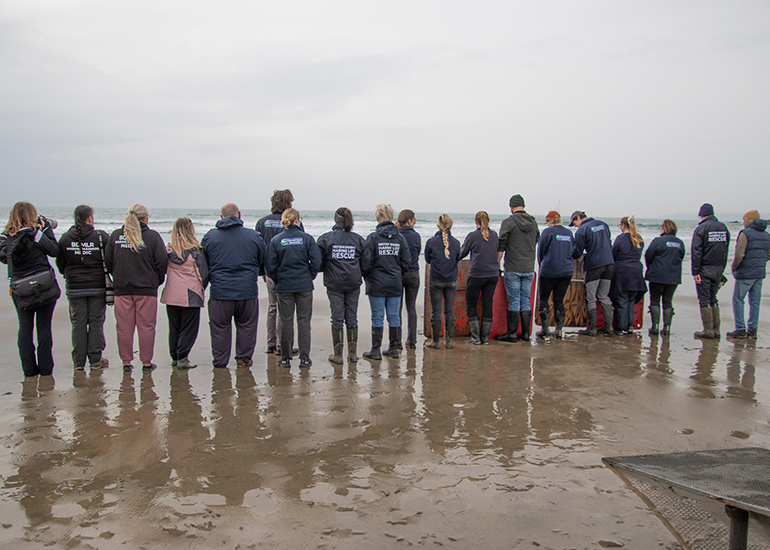 Seal Release - 5th March 2026