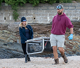 Seal Release - 6th August  2025
