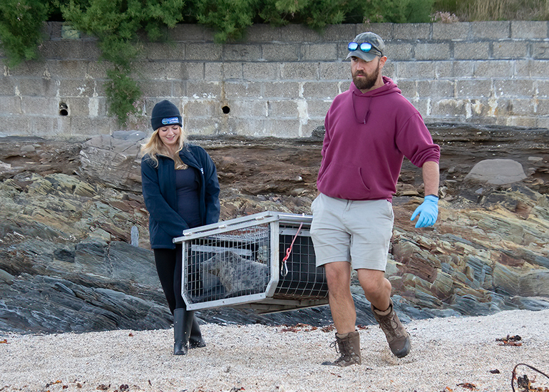 Seal Release - 6th August 2025