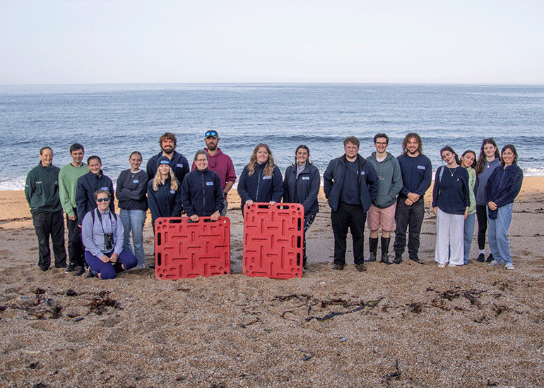 Seal Release - 6th August 2025