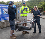 Seal Release - 10th June  2026