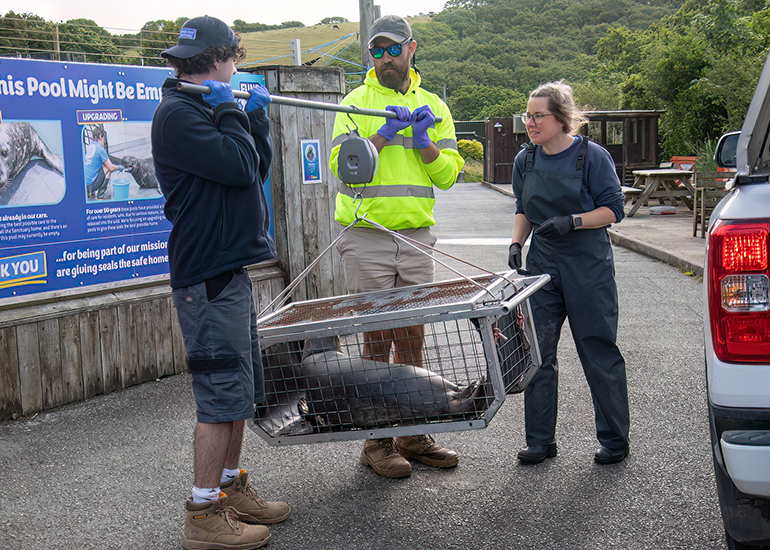 Seal Release - 10th June 2026
