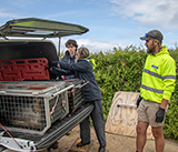 Seal Release - 10th June 2026