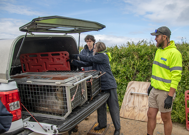 Seal Release - 10th June 2026