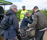 Seal Release - 10th June 2026