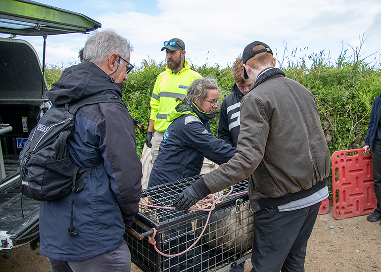 Seal Release - 10th June 2026