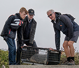 Seal Release - 10th June 2026