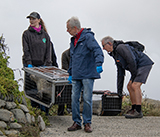 Seal Release - 10th June 2026