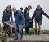 Seal Release - 10th June 2026