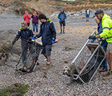 Seal Release - 10th June  2026
