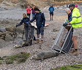 Seal Release - 10th June  2026