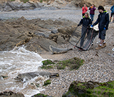 Seal Release - 10th June  2026