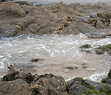 Seal Release - 10th June  2026