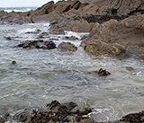 Seal Release - 10th June 2026