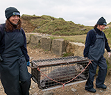 Seal Release - 11th February 2025