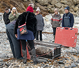 Seal Release - 11th February 2025