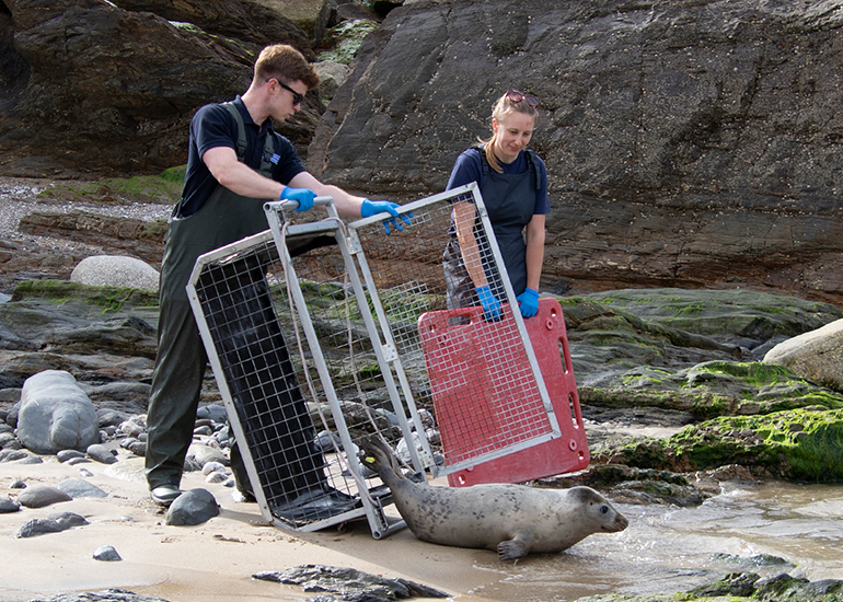 Seal Release - 11th May 2026