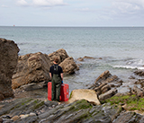 Seal Release - 11th May 2026