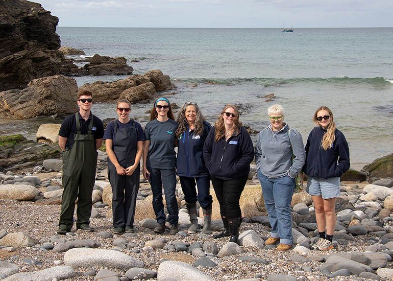 Seal Release - 11th May 2026