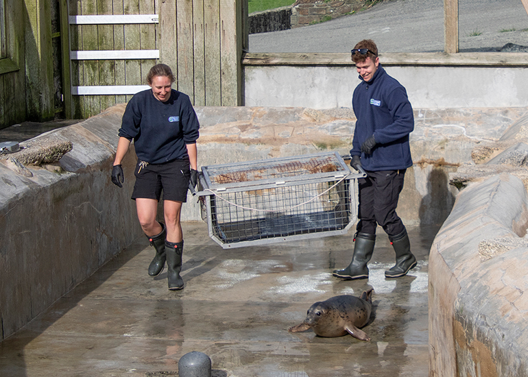 Seal Release - 11th May 2026