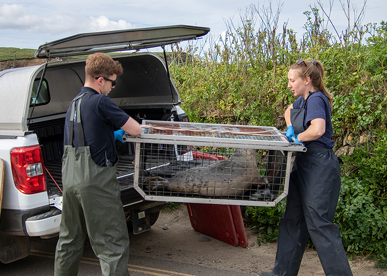 Seal Release - 11th May 2026