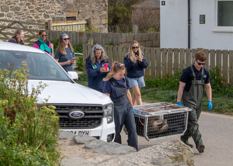 Seal Release - 11th May 2026