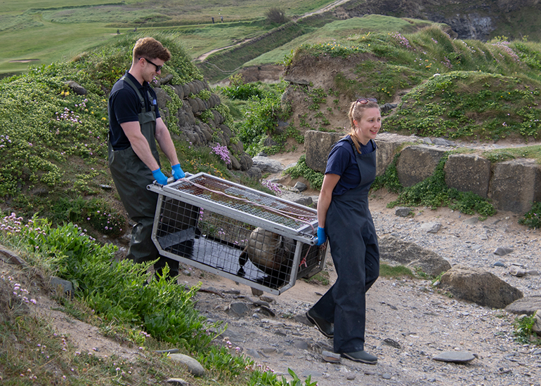 Seal Release - 11th May 2026