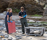 Seal Release - 11th May  2026
