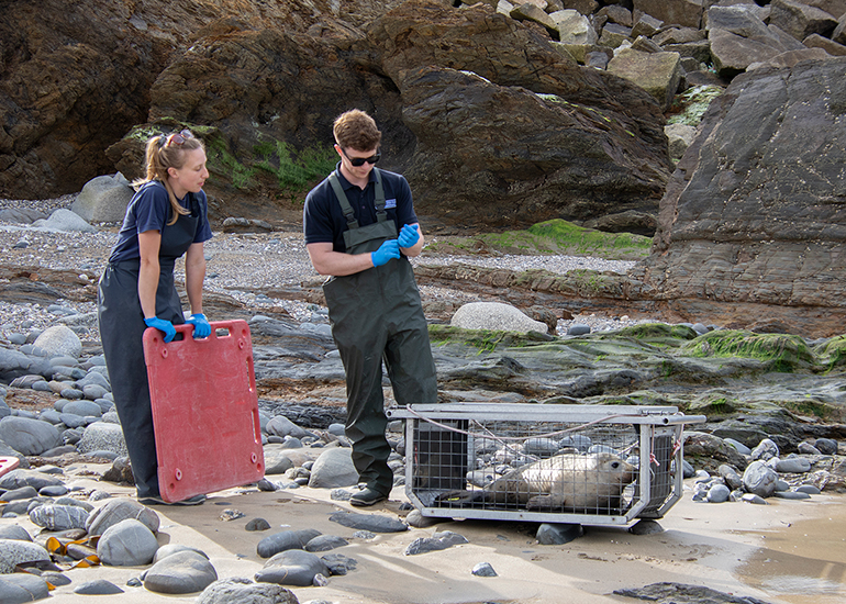 Seal Release - 11th May 2026