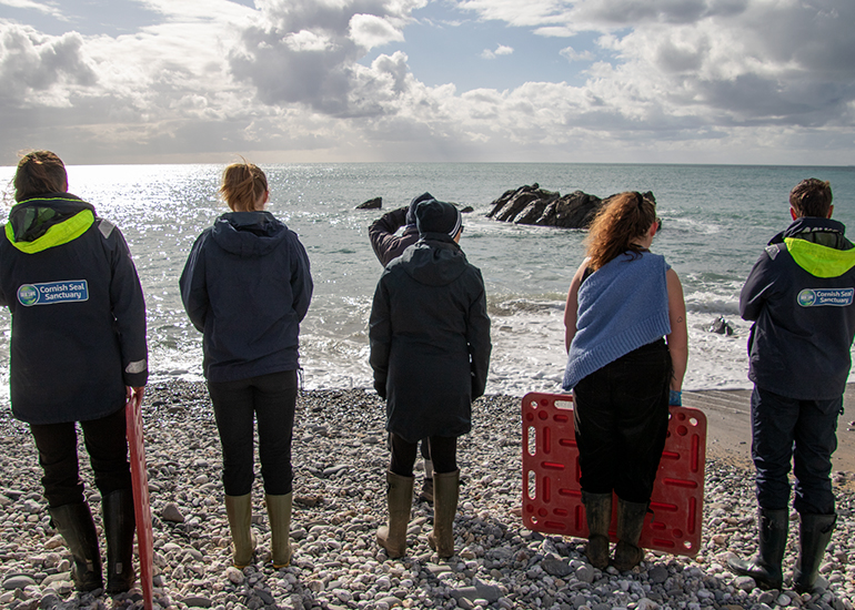 Seal Release - 12th March 2025