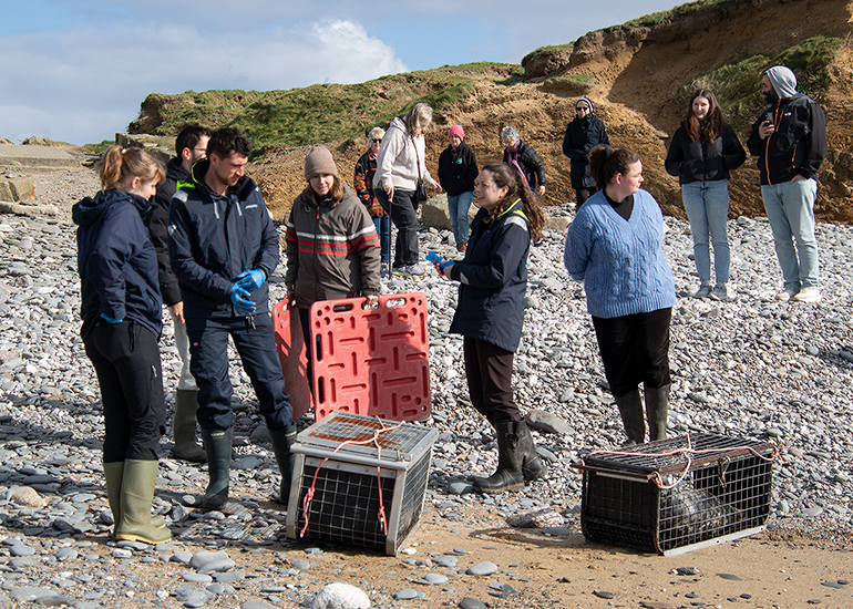 Seal Release - 12th March 2025