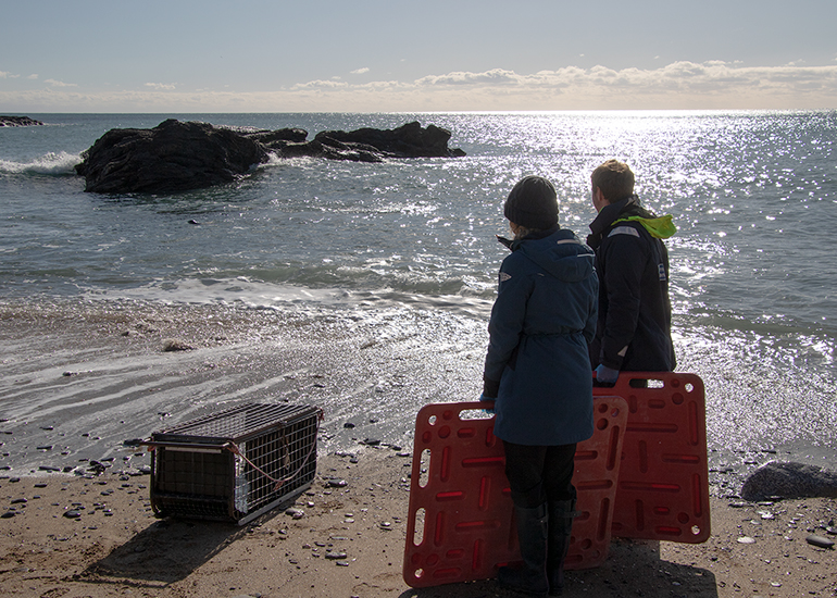 Seal Release - 13th March 2025