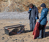 Seal Release - 13th March 2025