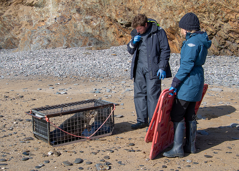 Seal Release - 13th March 2025