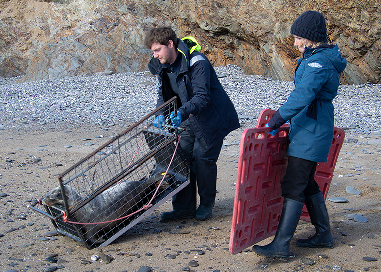 Seal Release - 13th March 2025