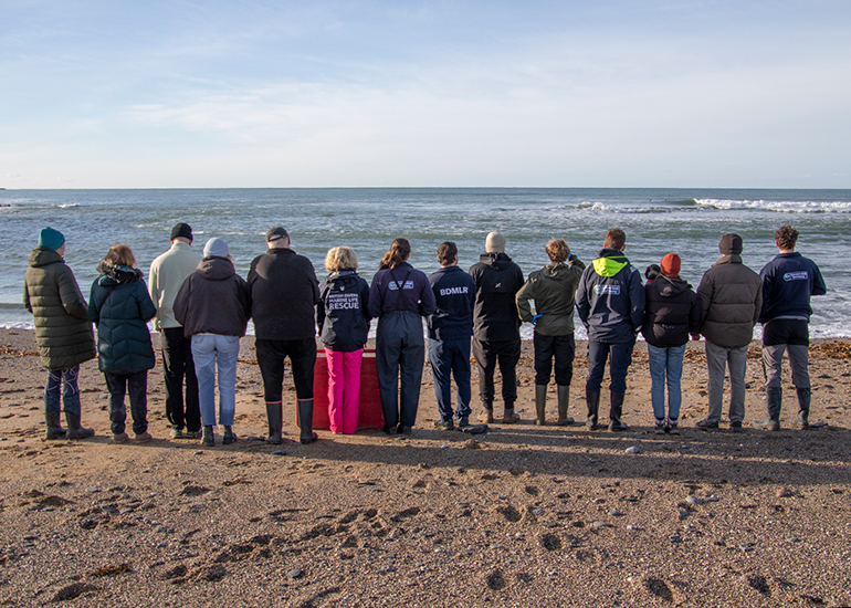 Seal Release - 14th February 2026