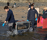 Seal Release - 14th February 2026