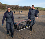 Seal Release - 16th April 2025