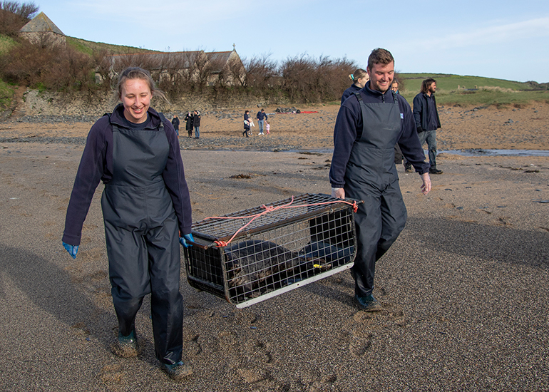 Seal Release - 16th April 2025
