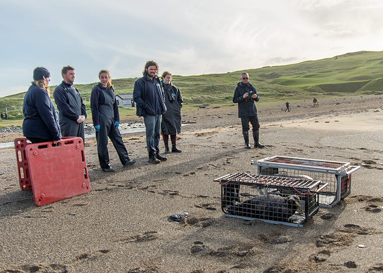 Seal Release - 16th April 2025